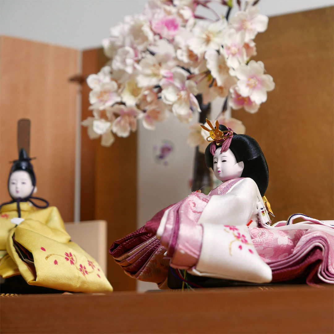 柴田家千代作 白ピンク桜手描き衣装の雛人形丸紋花刺繍金屏風収納飾り
