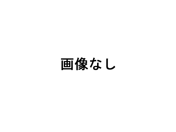 飾るのが楽しすぎる雛人形♪伝統的工芸品木目込人形十五人飾り正面