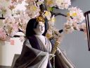 深い色合いの大島紬が落ち着きを表現し、桜の木と掛け軸が雛人形に彩りを添える立ち雛親王飾り