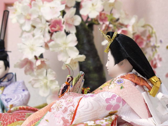 小さくてもきらびやかなピンクと紫の金彩雛人形を桜の前で飾りました。