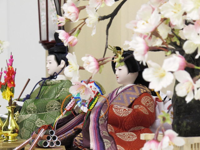 平安貴族の愛用した有職文様、鶴の丸を正絹衣装に織り込み着せ付けた落ち着いたお雛さまです。両脇に桜を飾りました。